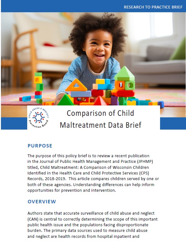 Title: Comparison of Child Maltreatment.  Picture of happy young boy playing with blocks.  Pdf text below.